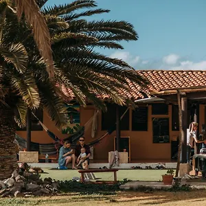 twinfin-surf-camp.tenerifehoteles.net/